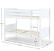 Bluebell Bunk Bed Surf White - Luminex FurnitureBunk BedBEL301