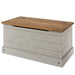 Corona Storage Trunk - Grey Wax - LuminexFurnitureStorage TrunkCRG540