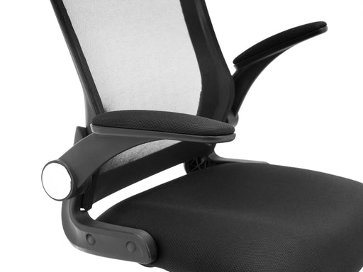 Elixor Mesh Office Chair – Adjustable with Lumbar Support - Luminex FurnitureOffice ChairIMO101