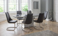Seraphina Grey High Gloss Table & 6 Seraphina Cantilever Chairs - Luminex FurnitureDining SetCOM154