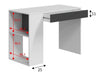 Tessaro Grey & White Desk with Drawer and Shelves - Luminex FurnitureDesk3131